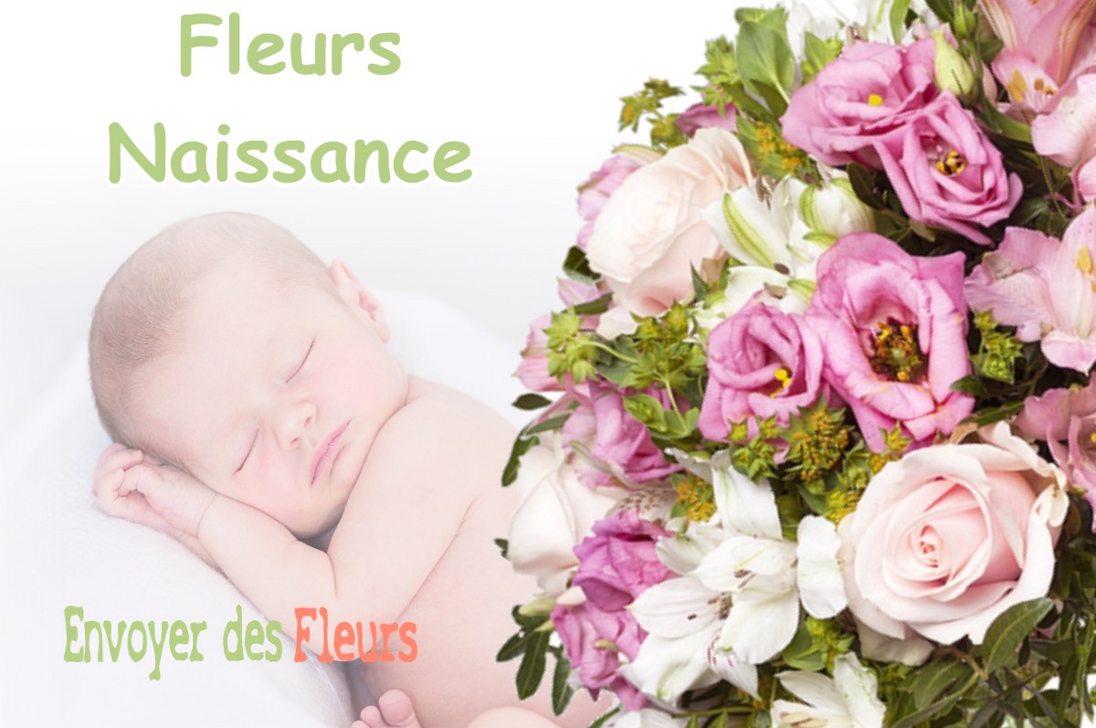 lIVRAISON FLEURS NAISSANCE à PORTET-DE-LUCHON